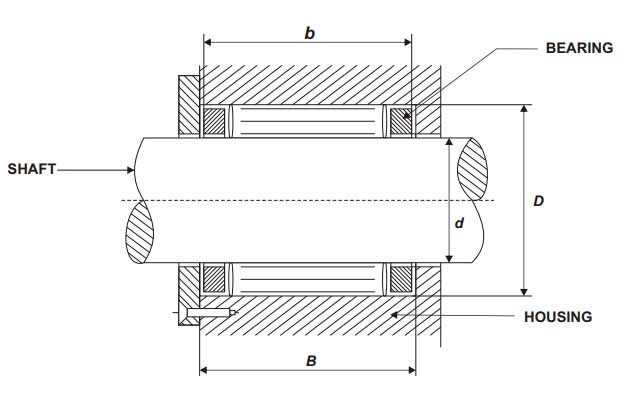 Roller Cage