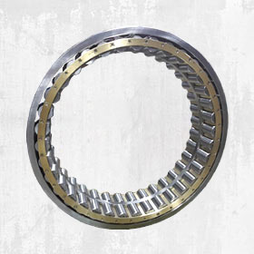 Multi Row Cylindrical Roller Bearings