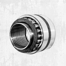 Flexible Roller Bearings