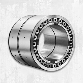 Multi Row Cylindrical Roller Bearings